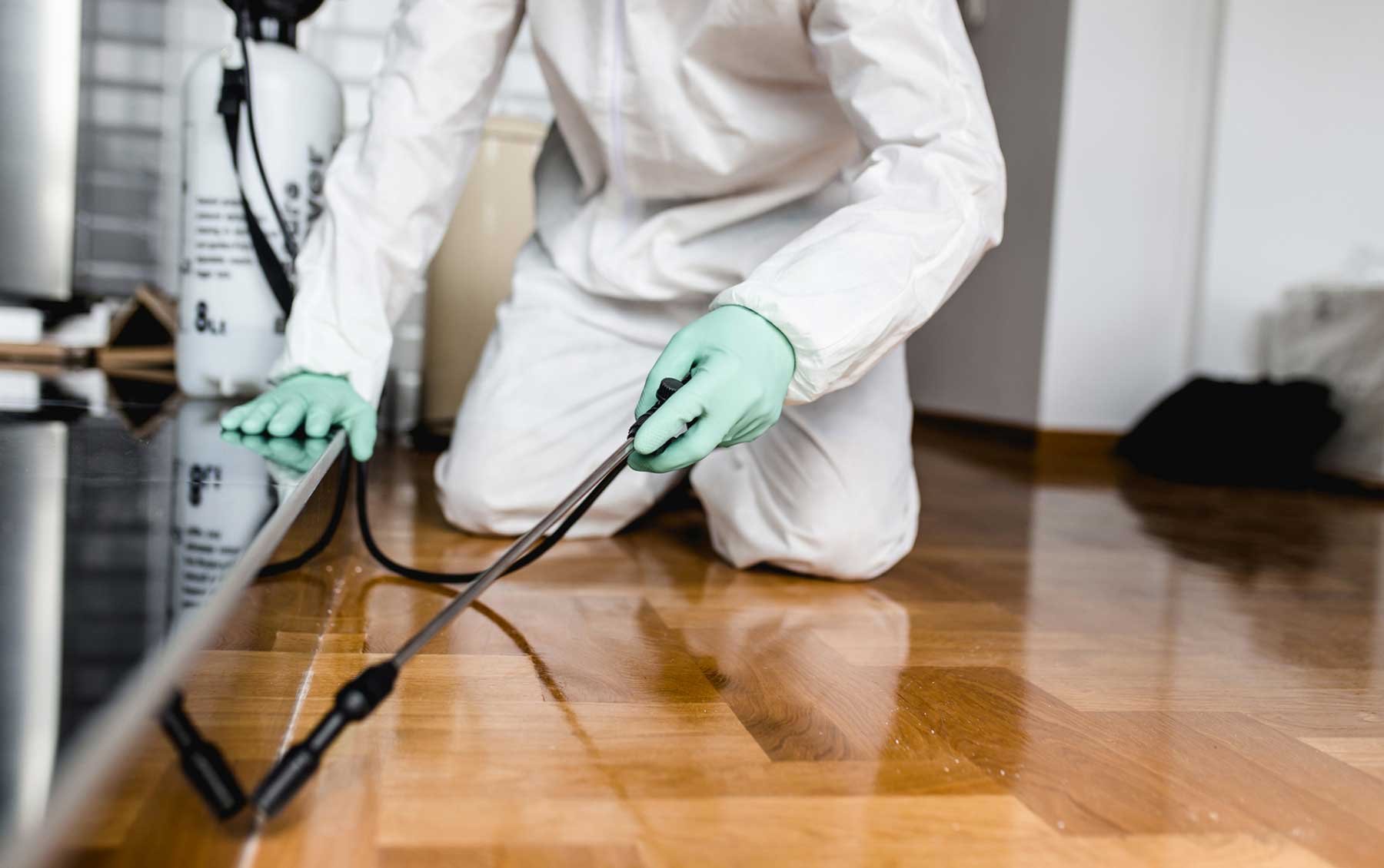 Pest Control Service & Fumigation Modinagar